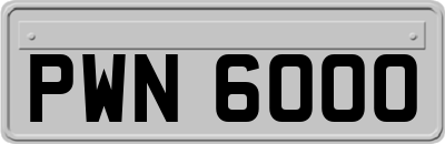 PWN6000