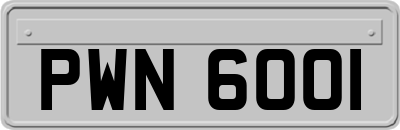 PWN6001