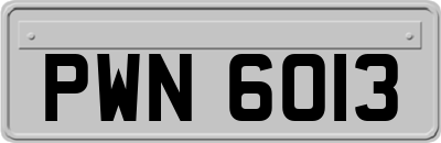 PWN6013