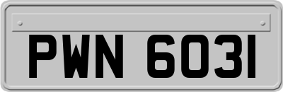 PWN6031