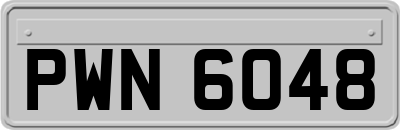 PWN6048