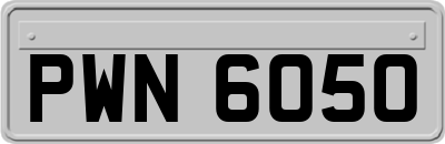 PWN6050