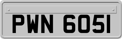 PWN6051