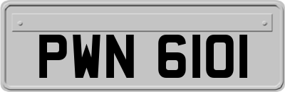 PWN6101