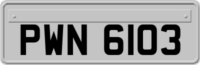 PWN6103