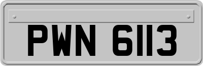 PWN6113