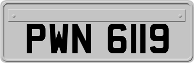 PWN6119