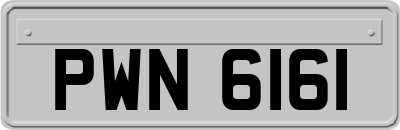 PWN6161