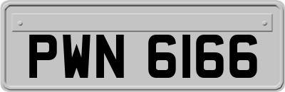 PWN6166