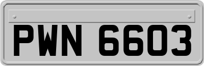 PWN6603