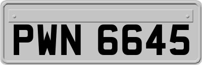 PWN6645