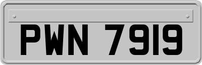 PWN7919