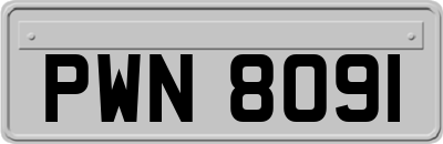 PWN8091