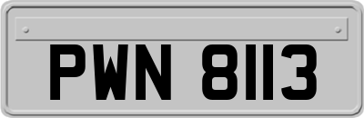 PWN8113