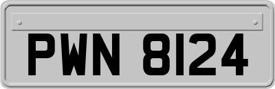 PWN8124