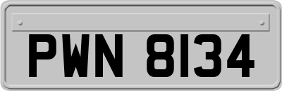 PWN8134