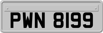 PWN8199