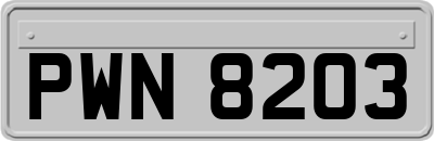 PWN8203