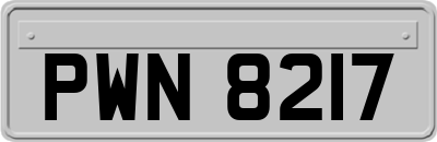 PWN8217