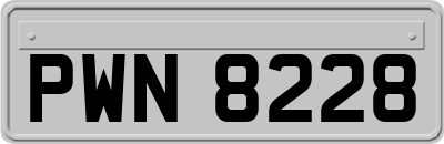 PWN8228