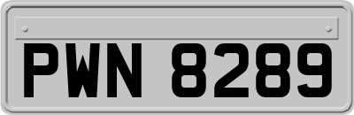 PWN8289