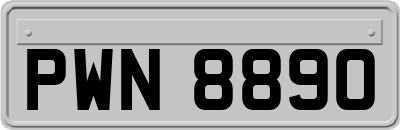 PWN8890