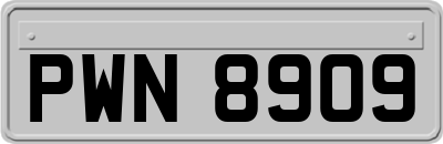 PWN8909