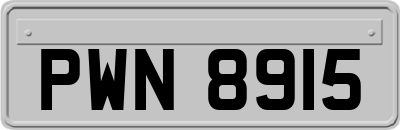 PWN8915