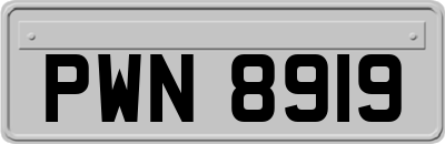 PWN8919