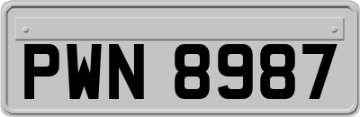 PWN8987