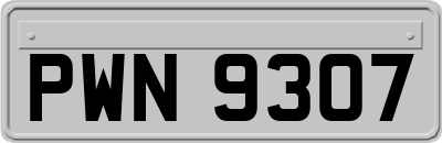 PWN9307