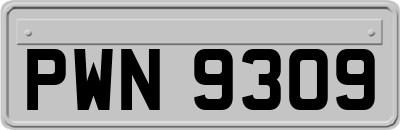 PWN9309