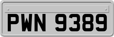 PWN9389