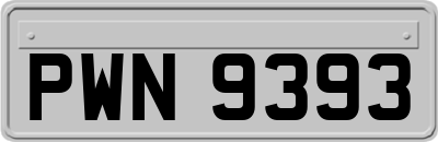 PWN9393