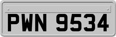 PWN9534
