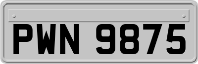 PWN9875