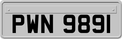 PWN9891