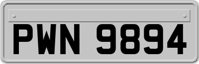 PWN9894