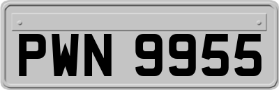 PWN9955