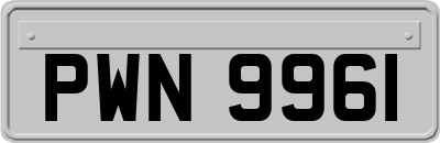 PWN9961