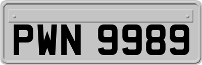 PWN9989