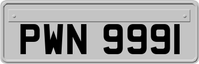 PWN9991