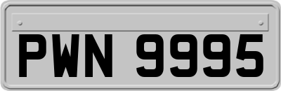 PWN9995