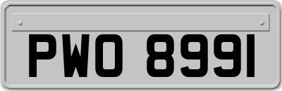 PWO8991