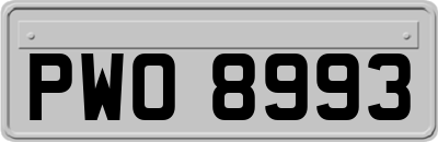 PWO8993