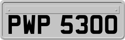 PWP5300