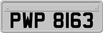 PWP8163