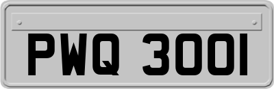 PWQ3001