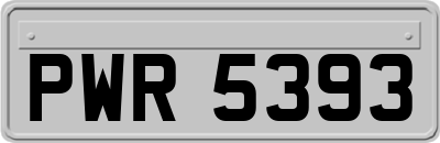 PWR5393