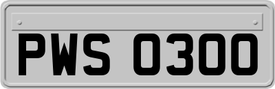 PWS0300